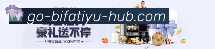 未来规划